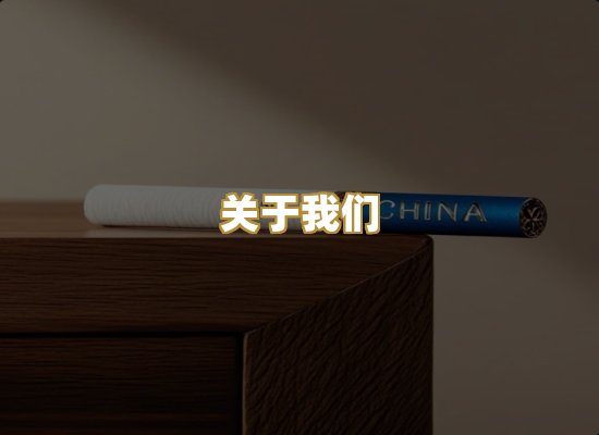关于我们